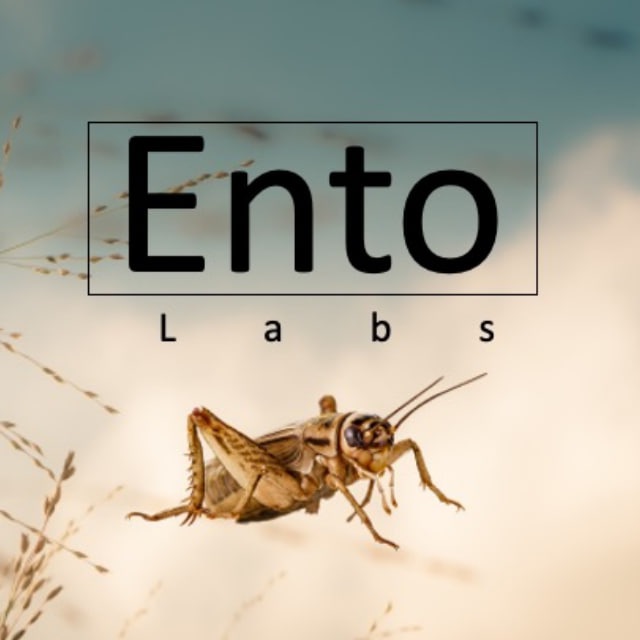 EntoLabs